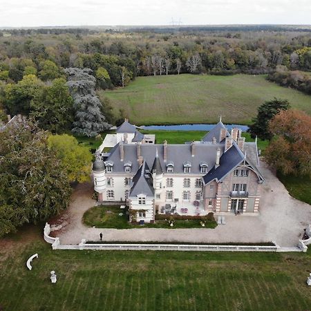 Chateau De La Faye Menetreol-sur-Sauldre ภายนอก รูปภาพ
