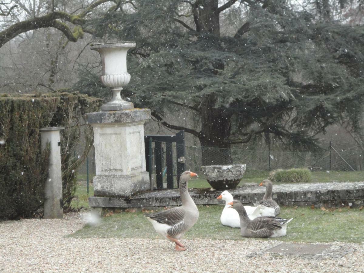 Chateau De La Faye Menetreol-sur-Sauldre ภายนอก รูปภาพ