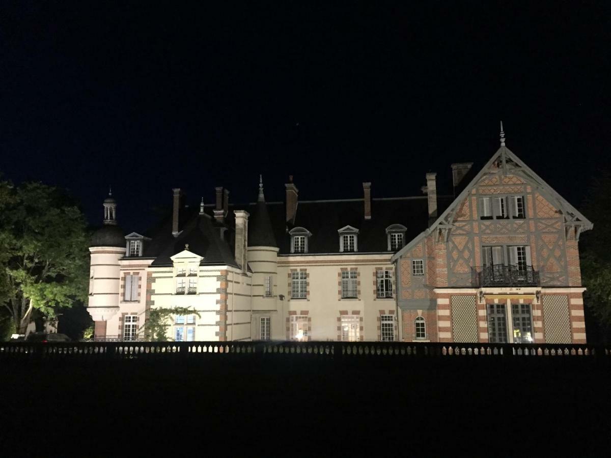 Chateau De La Faye Menetreol-sur-Sauldre ภายนอก รูปภาพ
